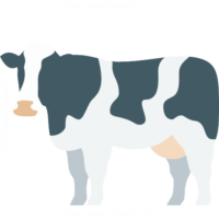 cow