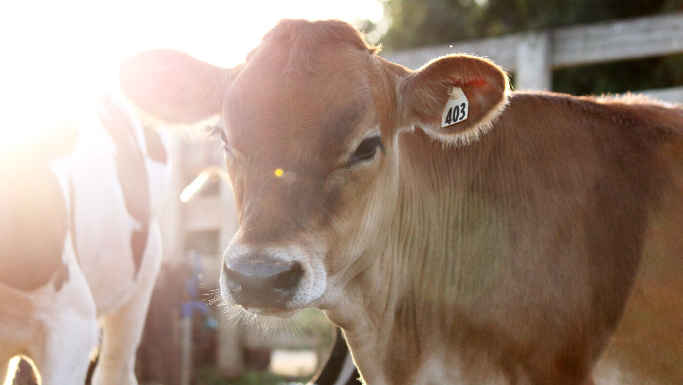 14924147537_1be7dbd066_k 14924147537_1be7dbd066_k