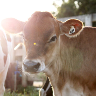 14924147537_1be7dbd066_k