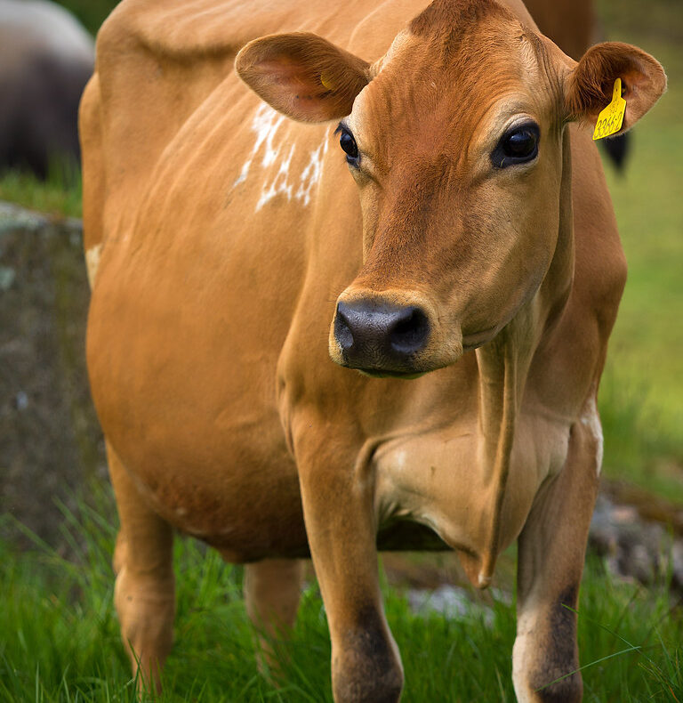 8843676562_a9e86bec5d_b 8843676562_a9e86bec5d_b