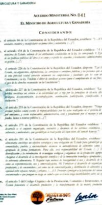 Que-debo-llevar-1-200x400