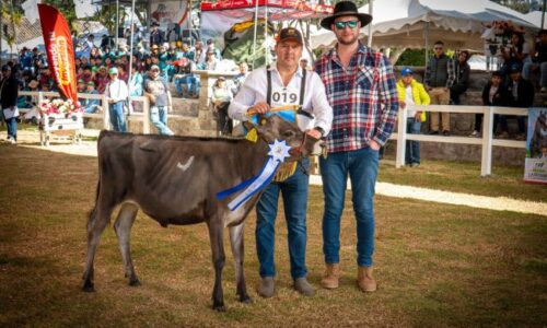 Sin título (650 x 400 px) (3)