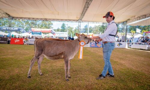 Sin título (650 x 400 px) (4)