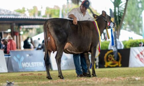 Sin título (650 x 400 px) (5)