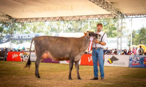 Sin título (650 x 400 px) (7)